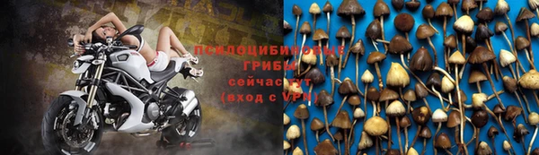 герыч Абаза