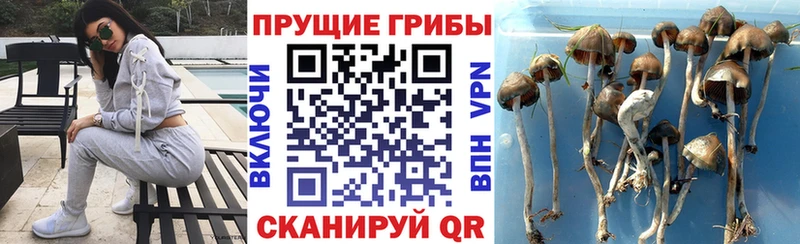 Галлюциногенные грибы мухоморы  Кировград 